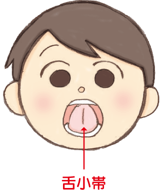 きちんと“噛める”子どもになるためには、舌の運動の発達と唾液の分泌、そして毎日の食事が大切です。