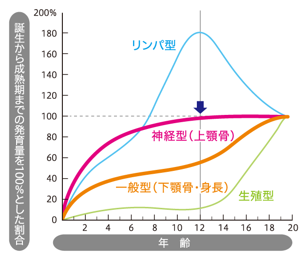誕生から成熟期までの発育量を100％とした割合