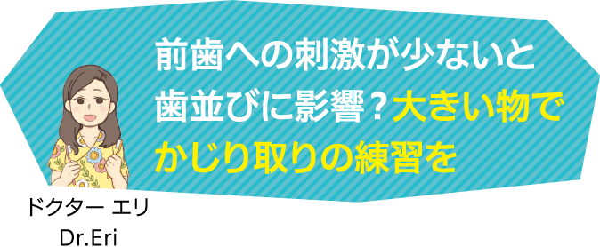 前歯への刺激が少ないと歯並びに影響？大きい物でかじり取りの練習を