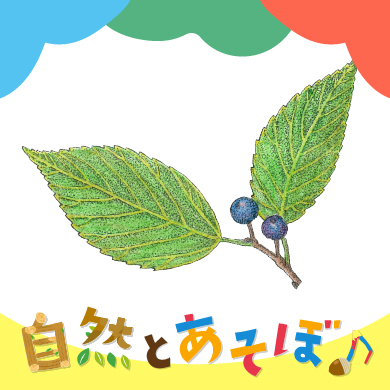 <?php the_title();?>