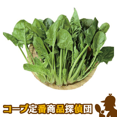 <?php the_title();?>