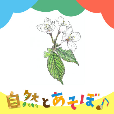 <?php the_title();?>