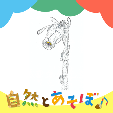 <?php the_title();?>