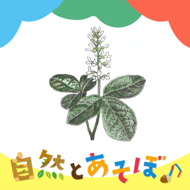 <?php the_title();?>