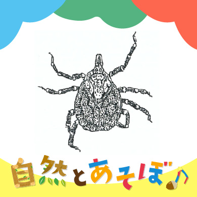 <?php the_title();?>