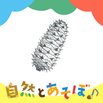 <?php the_title();?>