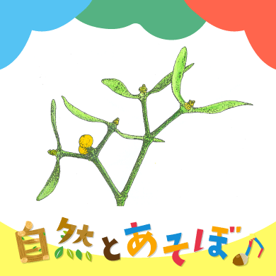 <?php the_title();?>